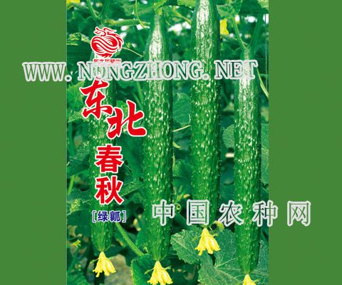 东北春秋
